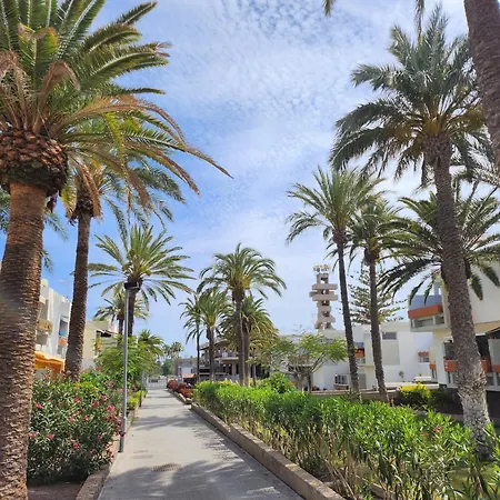 شقة Tenerife Sunshine South By La Ballena