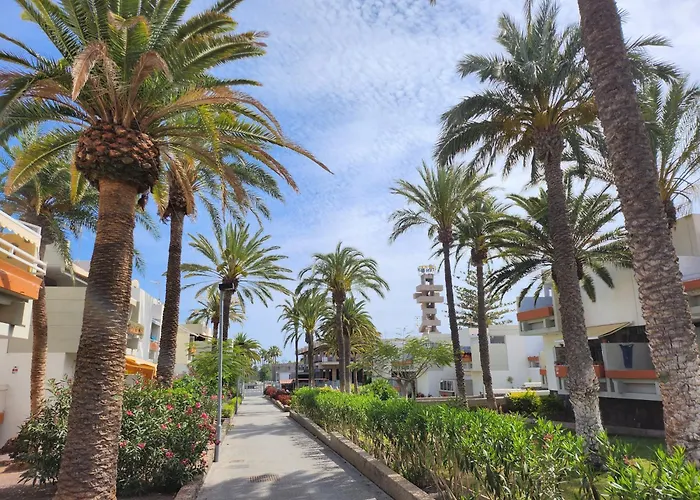 Lejlighed Tenerife Sunshine South By La Ballena