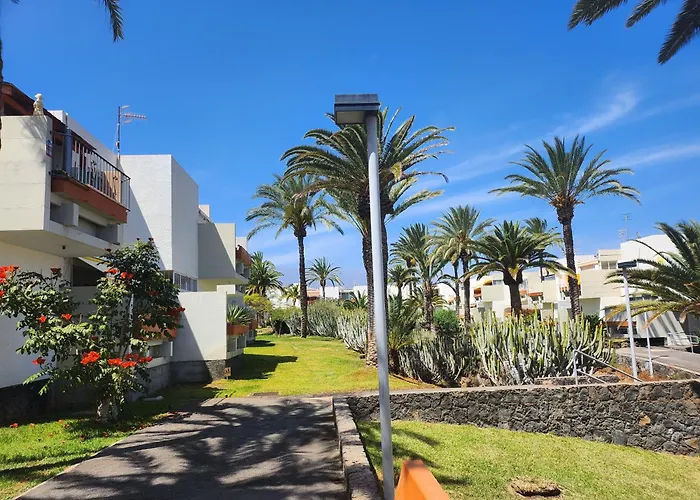 Tenerife Sunshine South By La Ballena Lägenhet